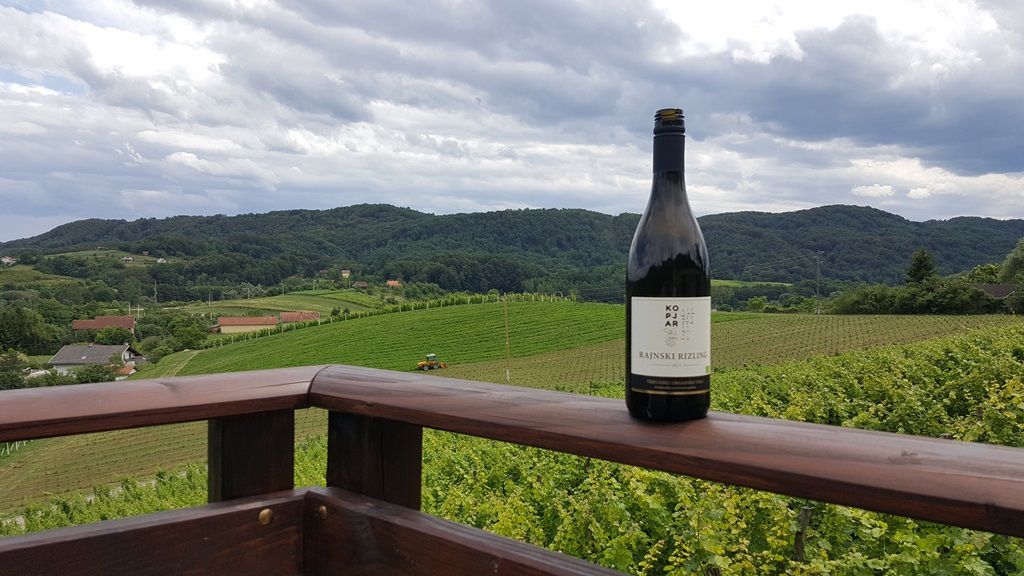 Rajnski Rizling s pogledom na vinograd u vinariji Kopjar