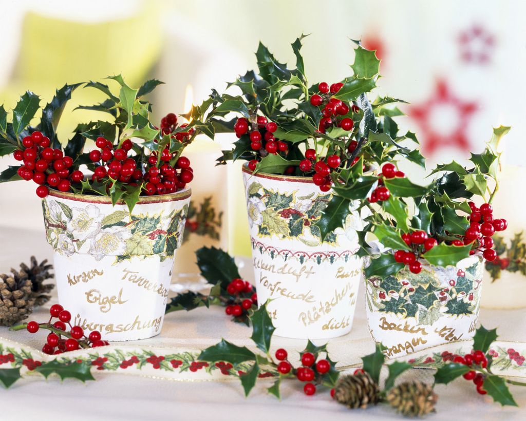 Zelena i crvena smatraju se bojama Božića