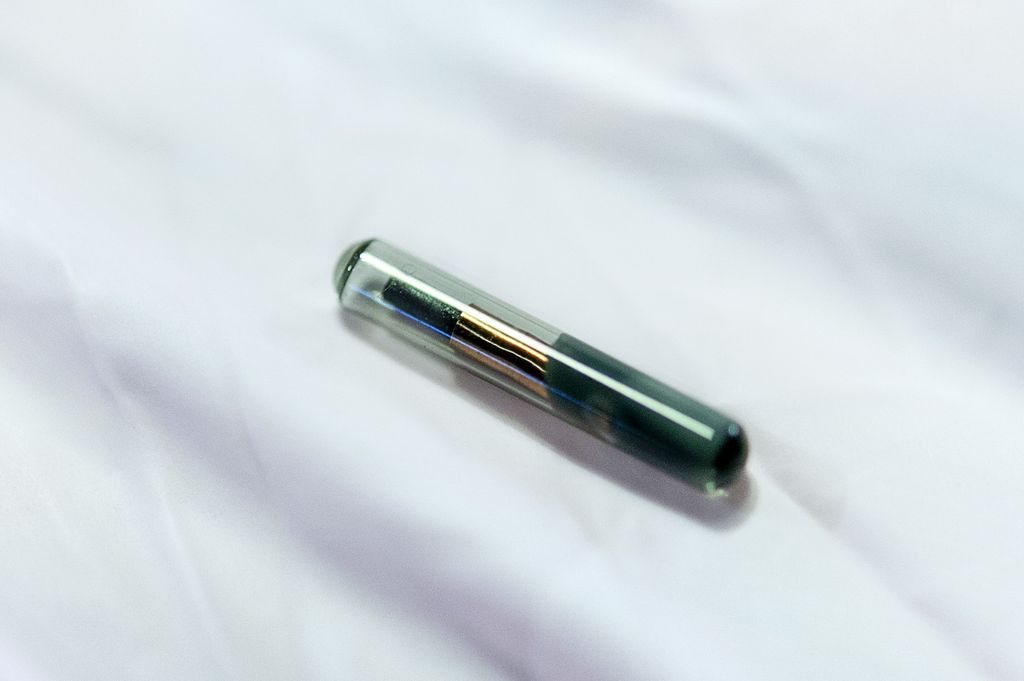 Ugradnja mikročipa (Foto: AFP)