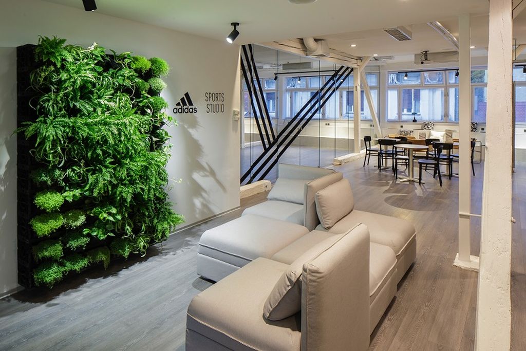 adidas Sports Studio ulaz