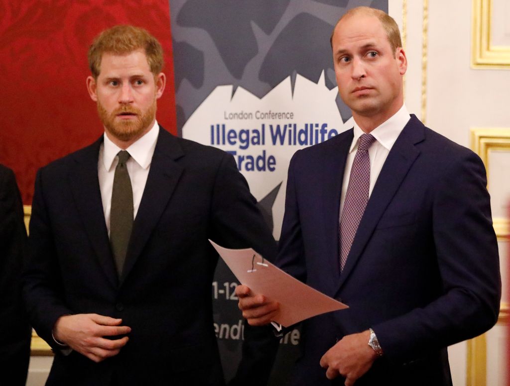 Princ Harry i princ William (Foto: Getty Images)