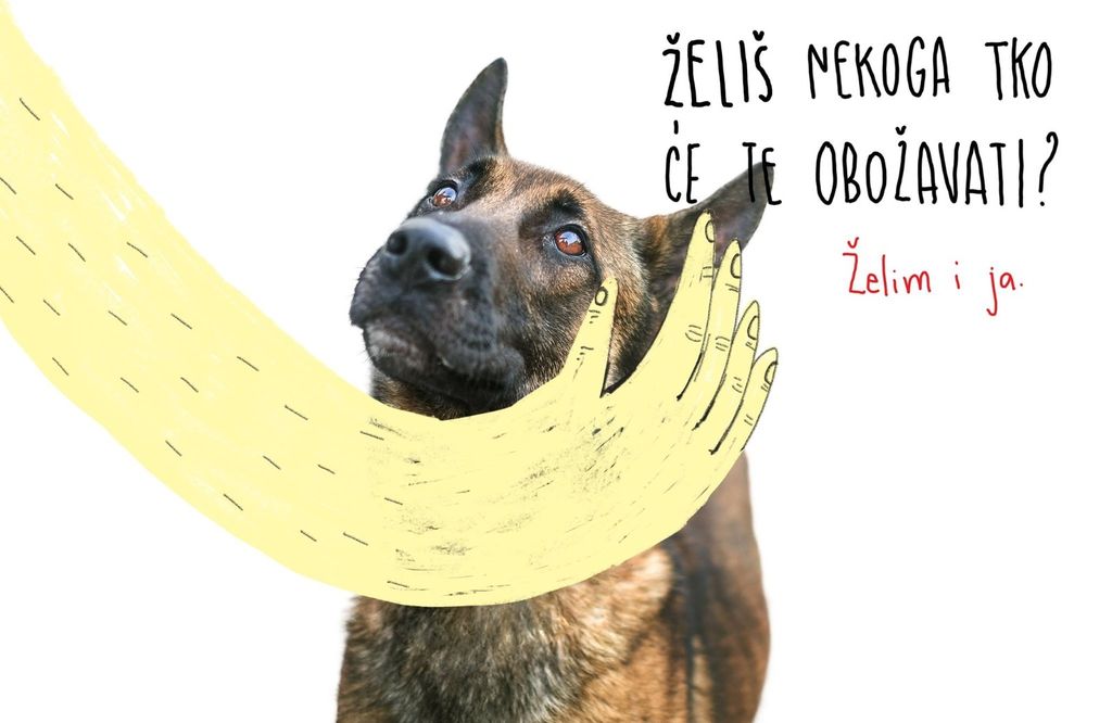 Svaka Superzdjelica koju polaznici izrade za vlastitog ljubimca pomoći će psima iz Azila Prijatelji Čakovec - 3
