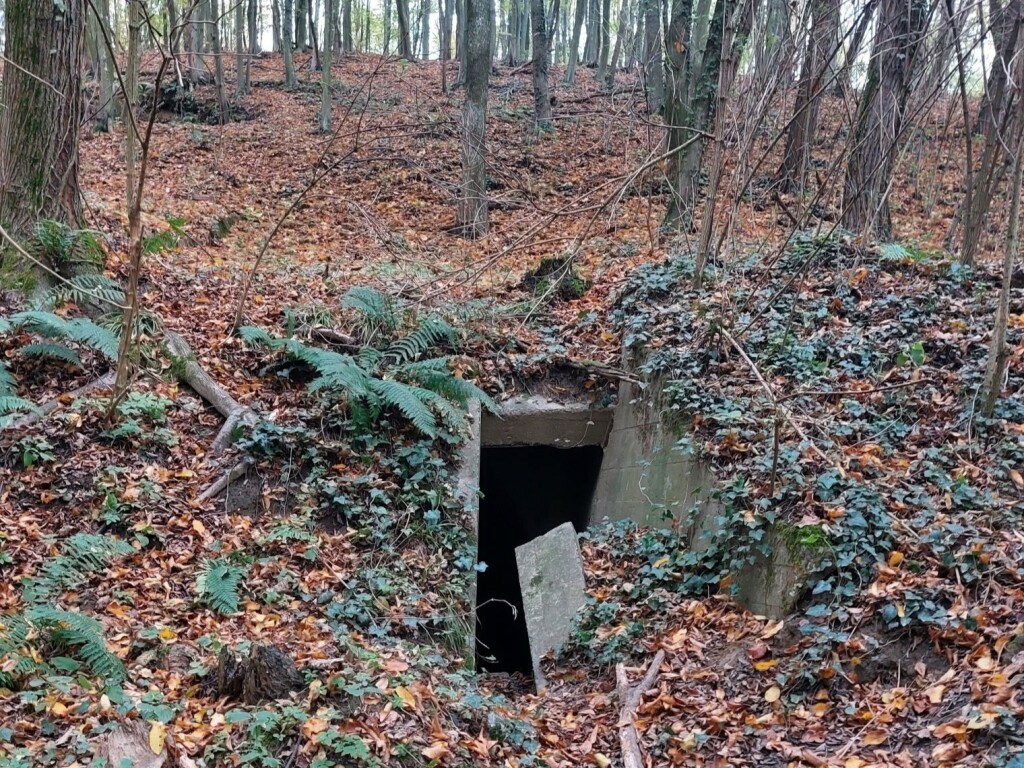 Bunker JNA kod Novigrada Podravskog - 10