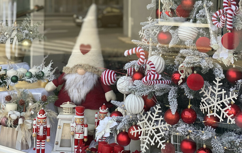 Božićni izlog cvjećarnice Lillian u Osijeku - 5