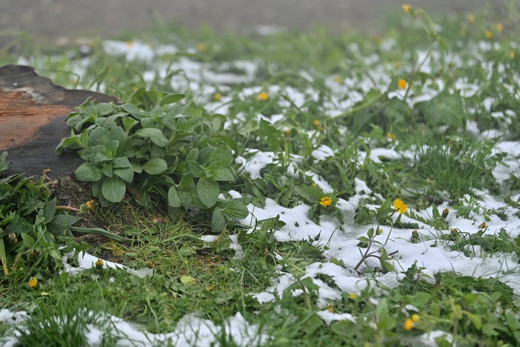 U nekim predjelima u srijedu moguć snijeg (ilustracija)