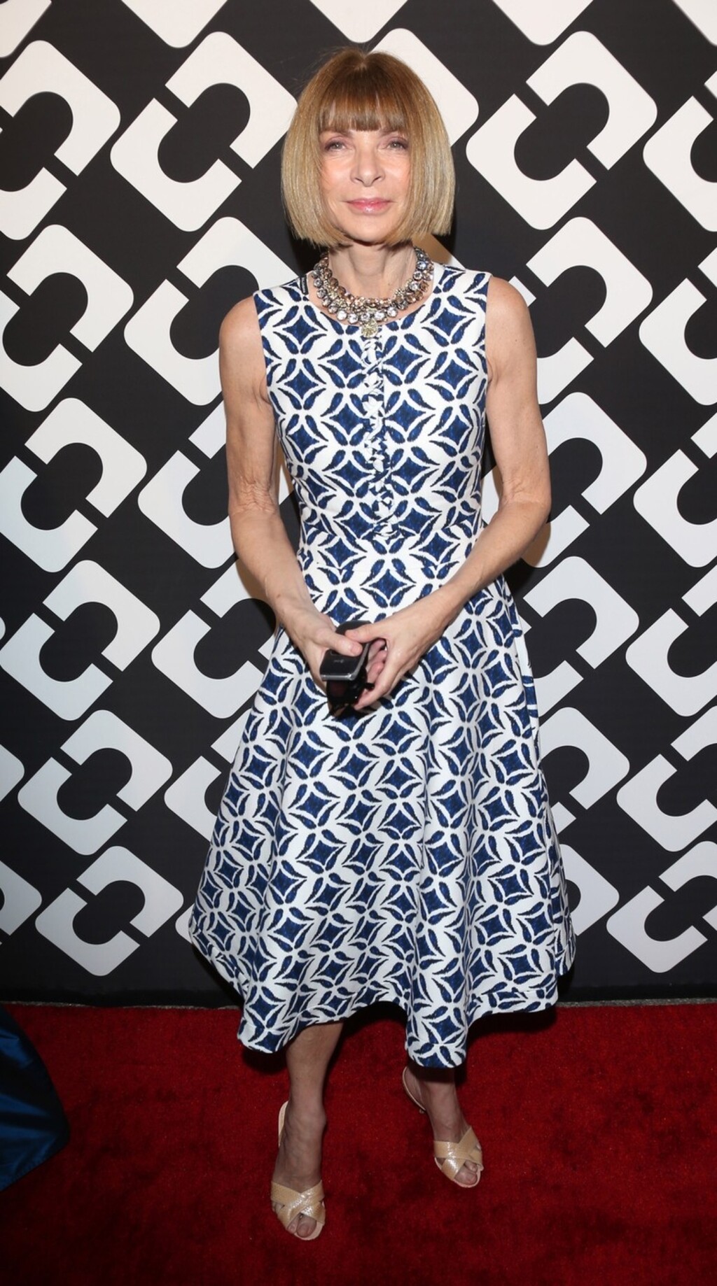 Anna Wintour 2014. na otvaranju krila Metropolitan muzeja nazvanog po njoj