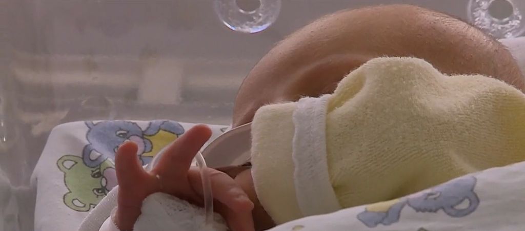 Demografski porast - 3