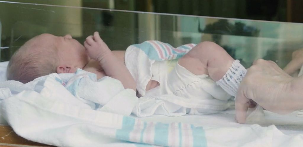 Demografski porast - 3