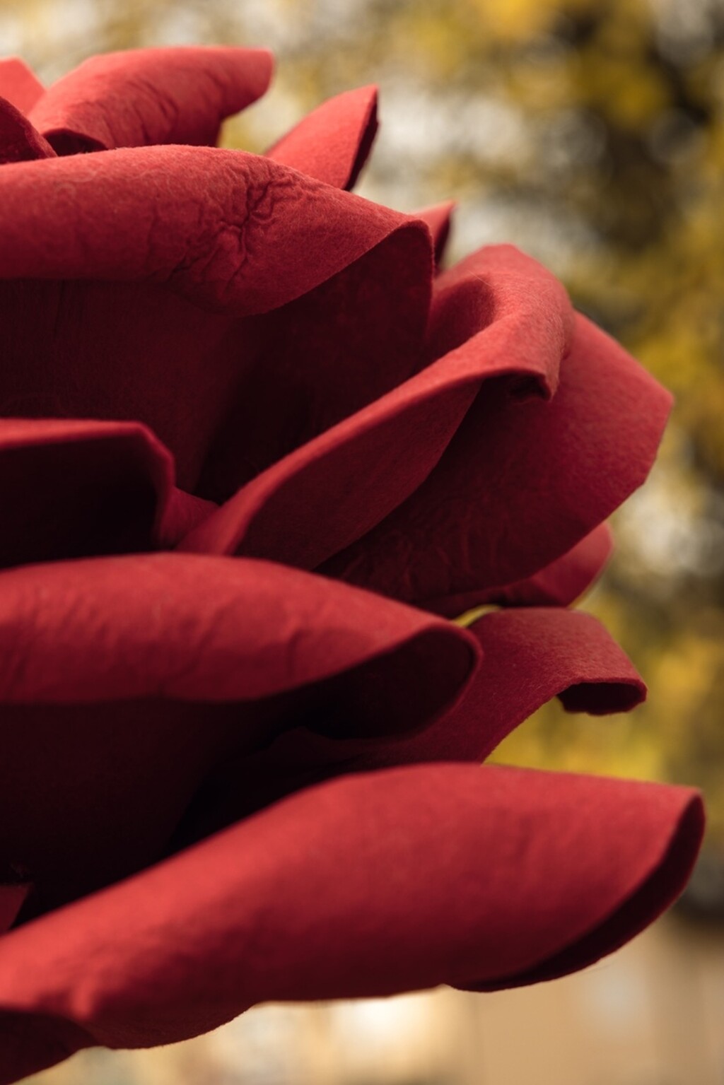 Ruže simboliziraju glas svih žrtava nasilja