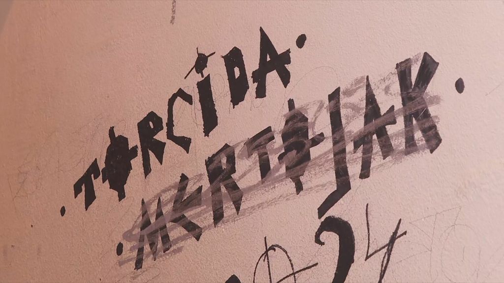 Nikola Vukobratović