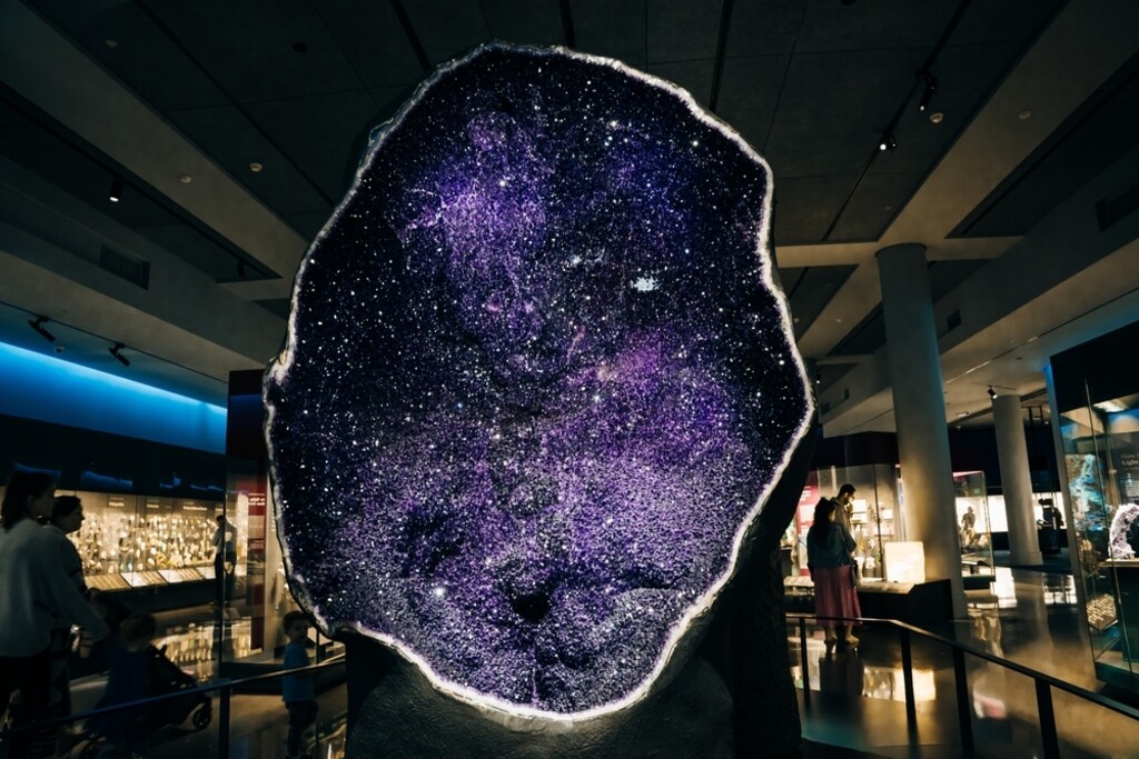 Američki prirodoslovni muzej