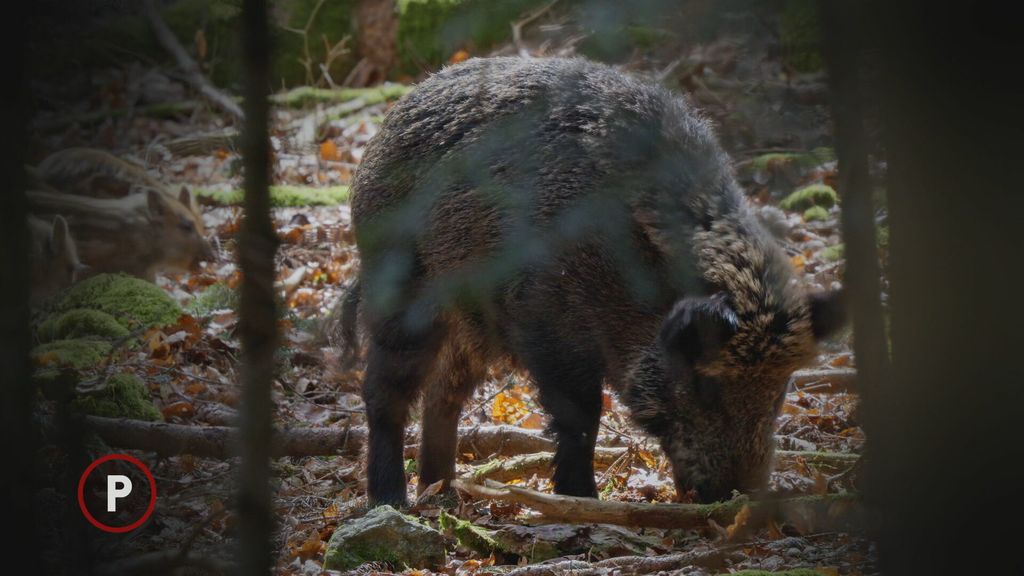 Provjereno: Nacionalni park Krka - 1