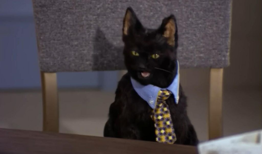 Salem Saberhagen - 10