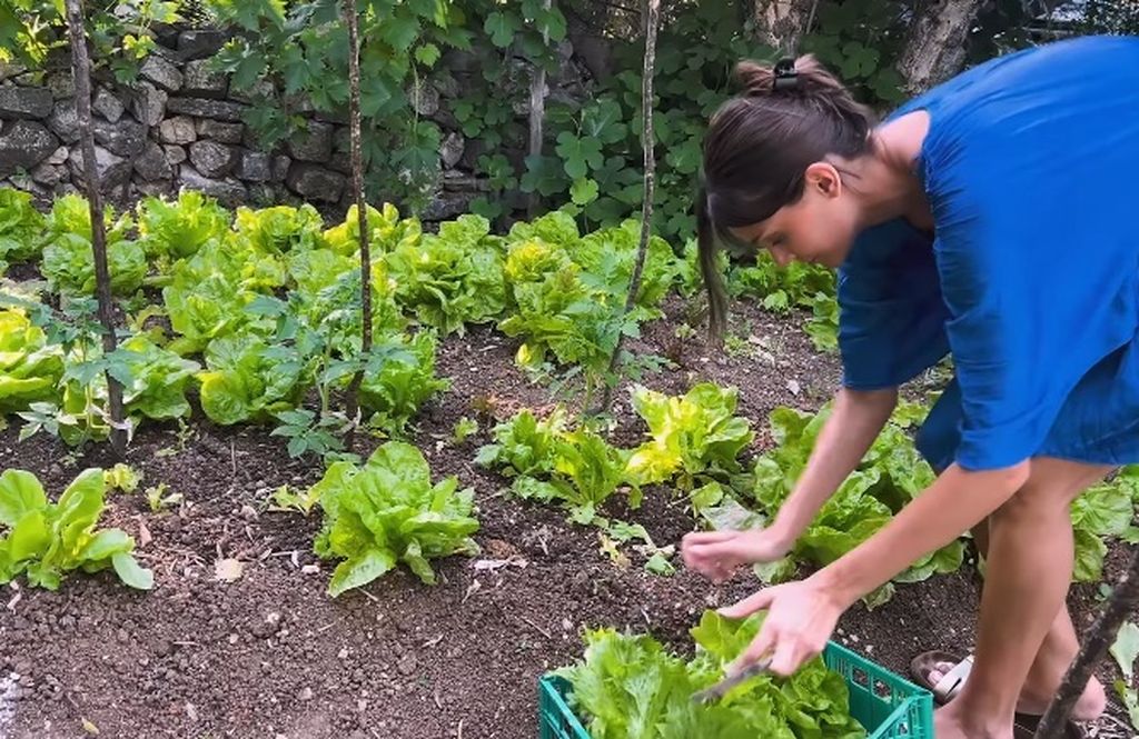 Laura Gnjatović, Miss Universe Hrvatske - 2