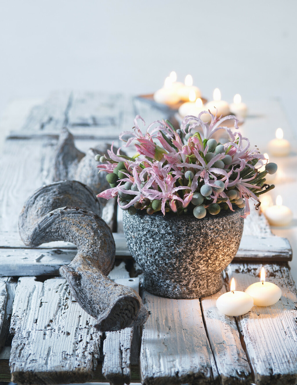 Cvijet nerina svojim živim bojama unosi veselje u razdoblje kada priroda polako utihne - 3