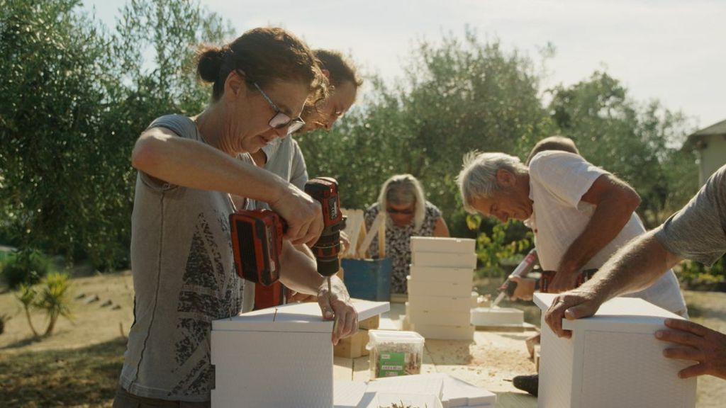 Kako je Filip Raponja stvorio Plan Bee