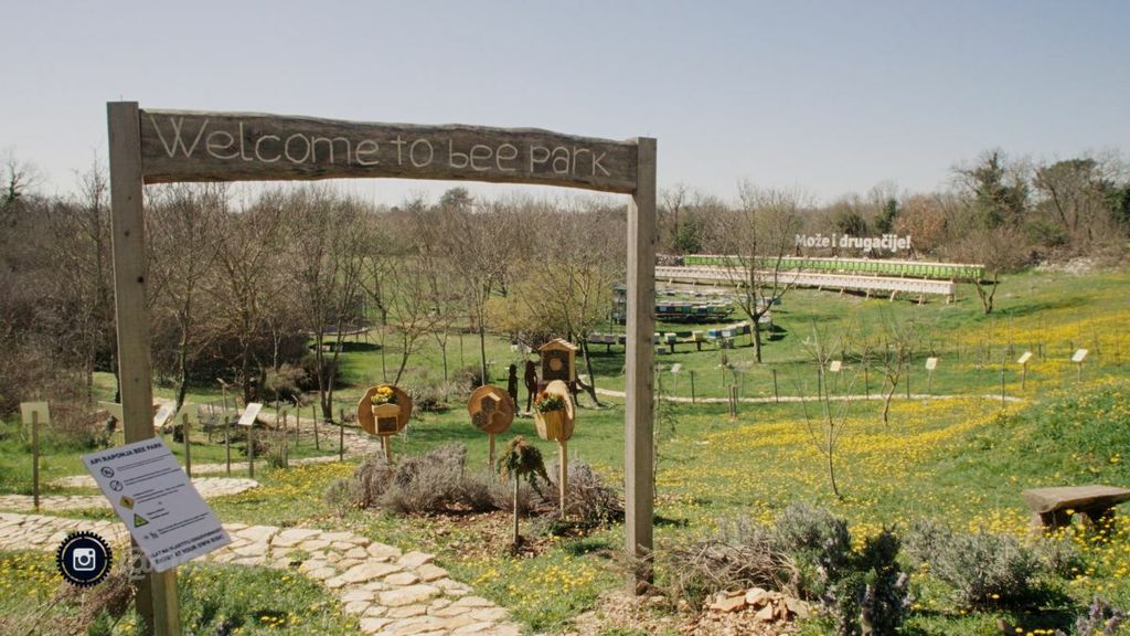 Kako je Filip Raponja stvorio Plan Bee