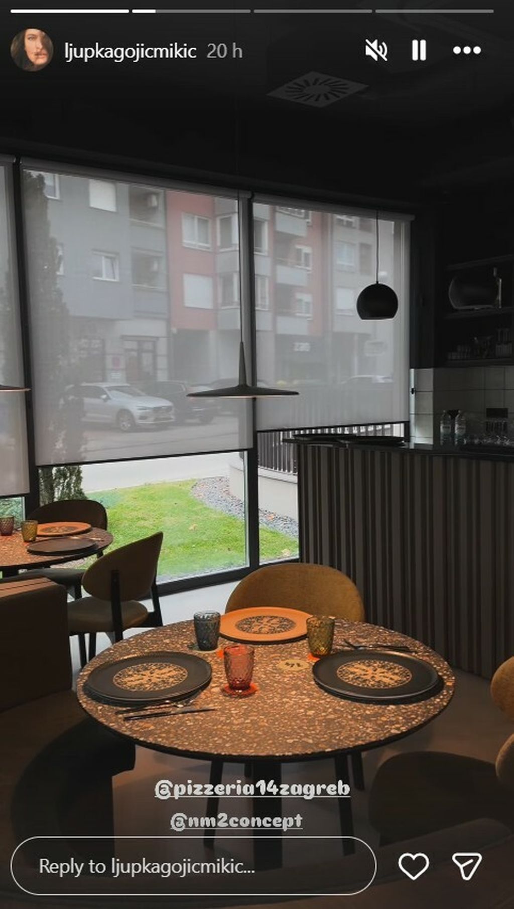 Ljupka Gojić Mikić na Instagramu