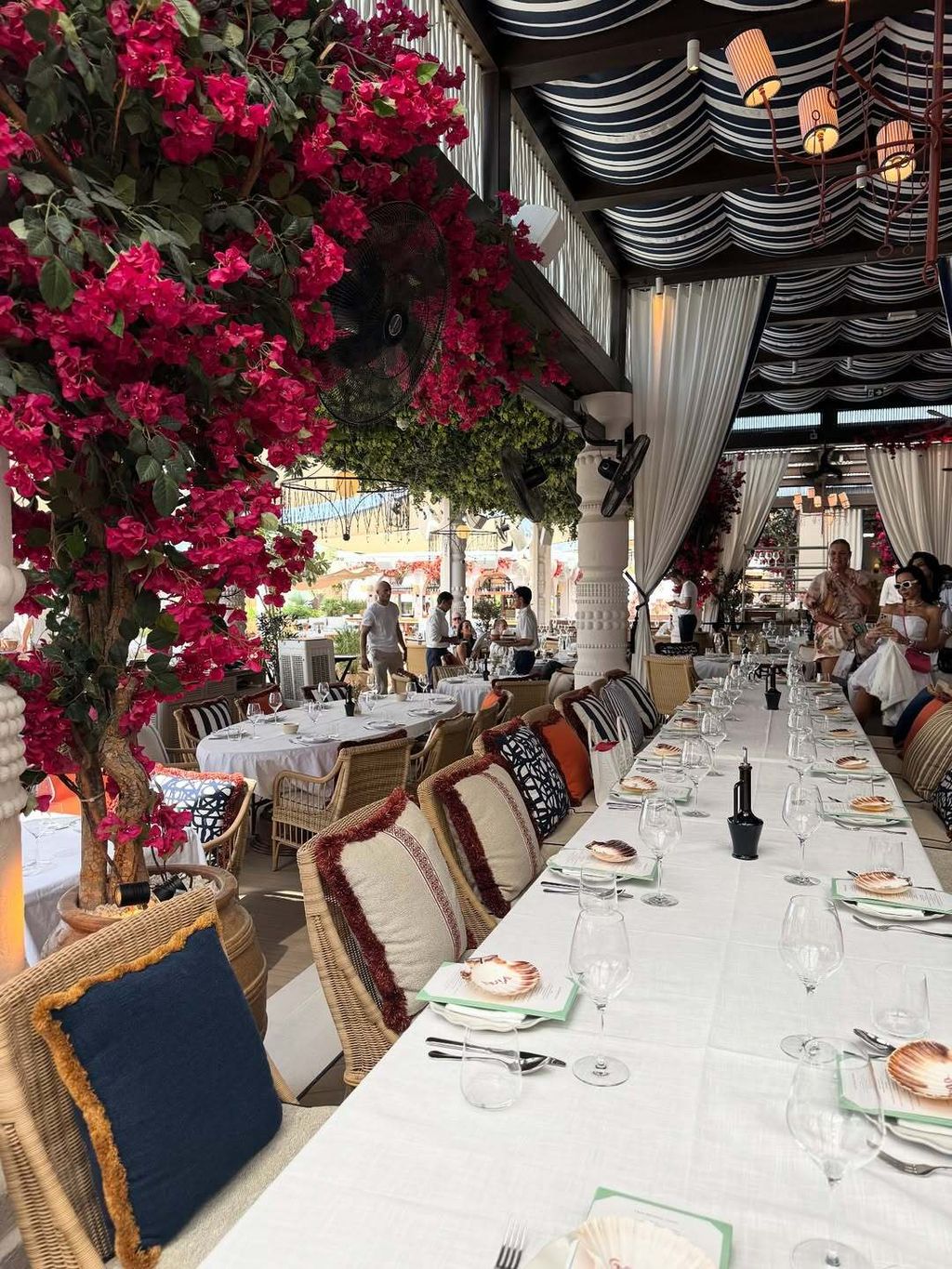 Maja Šuput na Instagramu