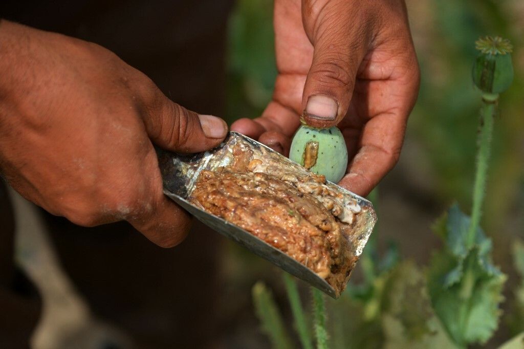 Zrakoplov C-130 kojim su raspršivali sjemenke