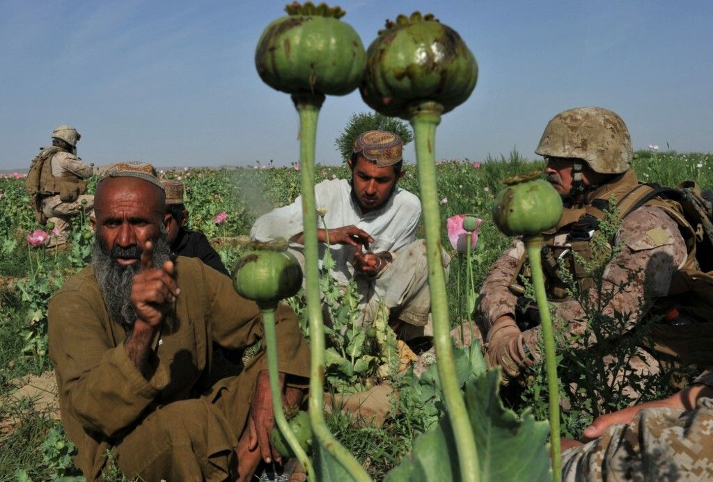 Zrakoplov C-130 kojim su raspršivali sjemenke