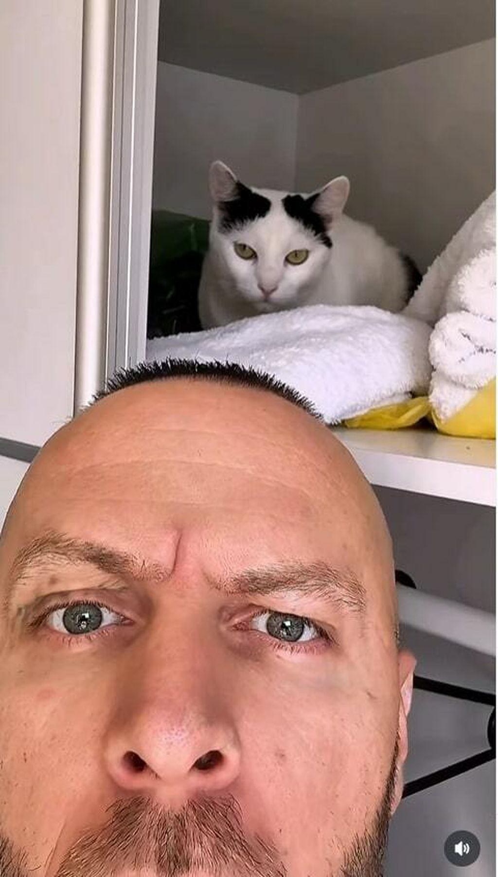 Tihomir Ostojić i Sabija - 1