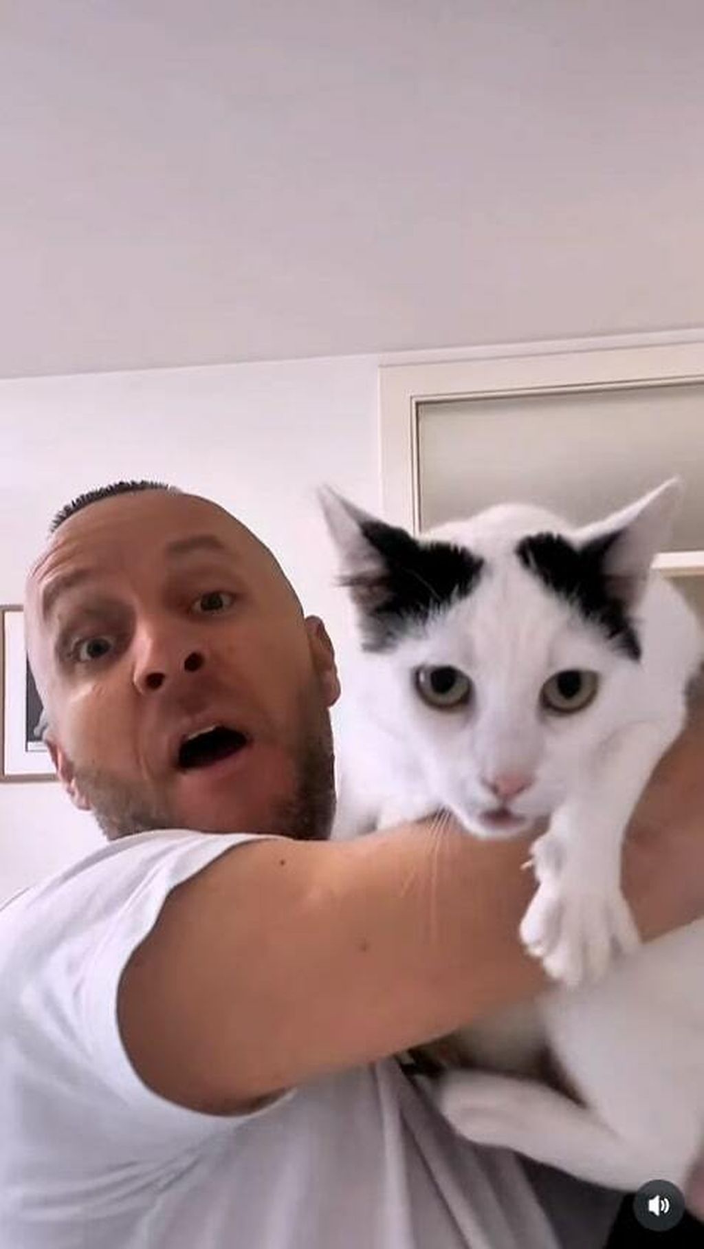 Tihomir Ostojić i Sabija - 4