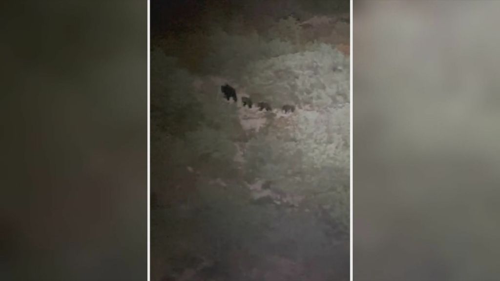 Hariet Mršić i Marko Balen, reporter Dnevnika Nove TV