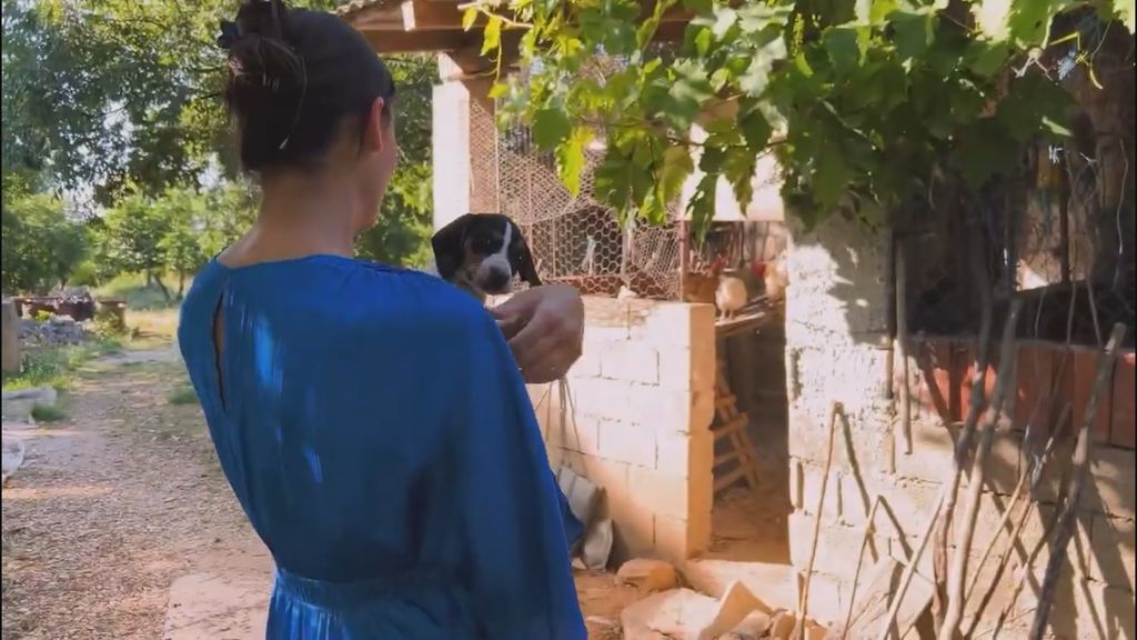 In Magazin: Miss Universe Hrvatske - 3