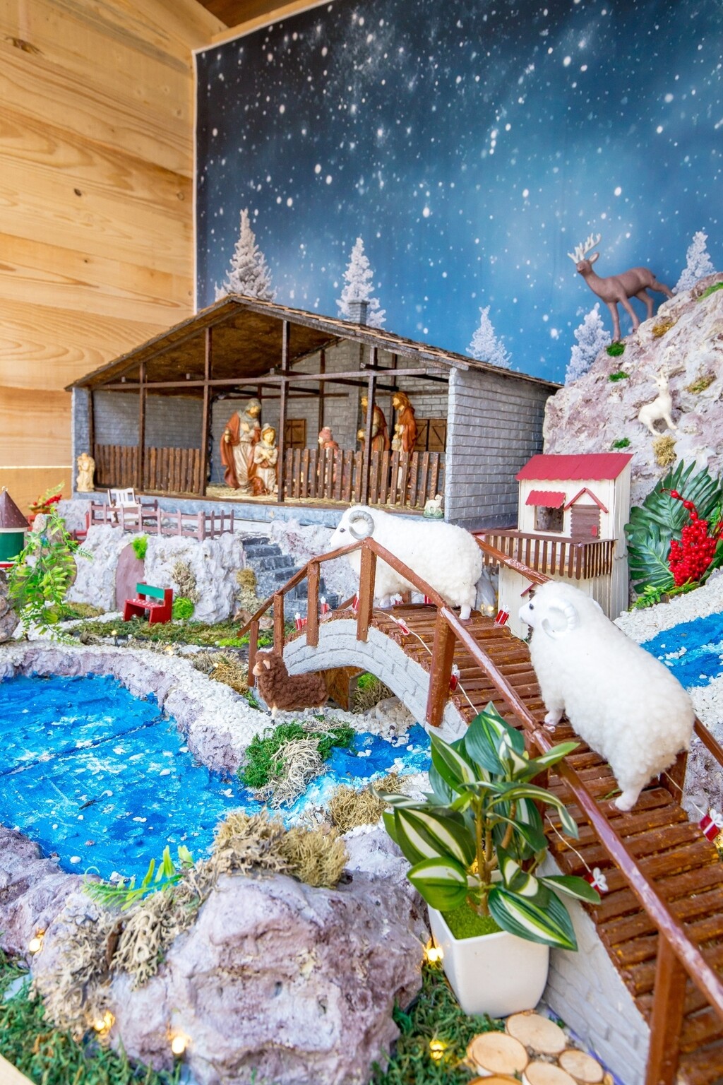 Božićna bajka Stefani i Darka Štefančić