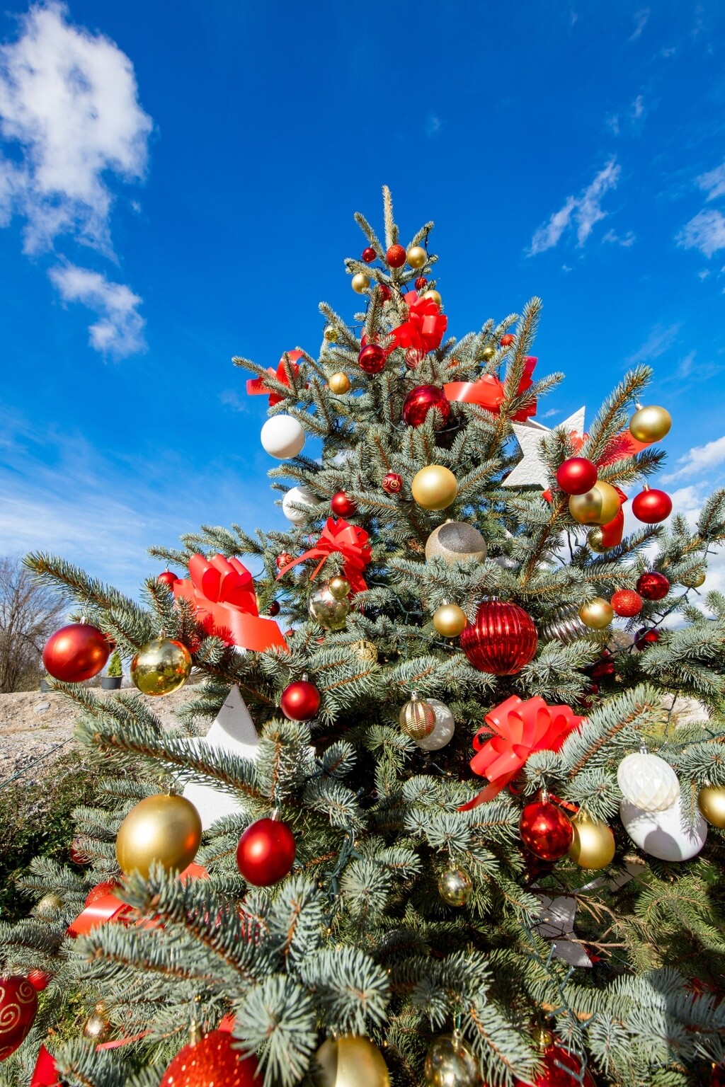 Božićna bajka Stefani i Darka Štefančić