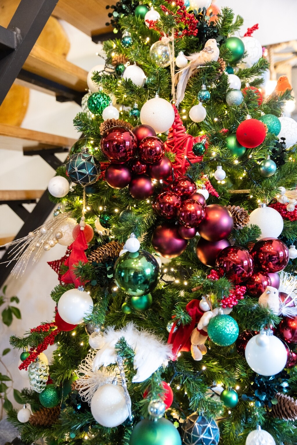 Božićna bajka Stefani i Darka Štefančić - 19