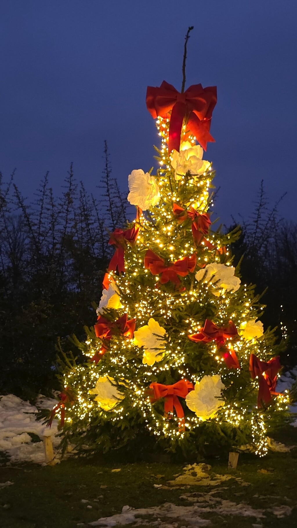 Božićna bajka Stefani i Darka Štefančić