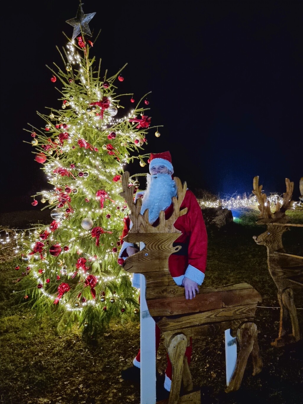 Božićna bajka Stefani i Darka Štefančić