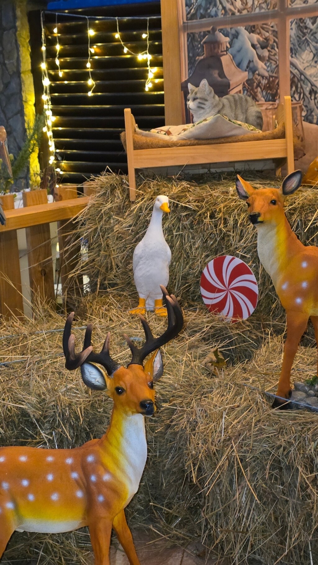 Božićna bajka Stefani i Darka Štefančić