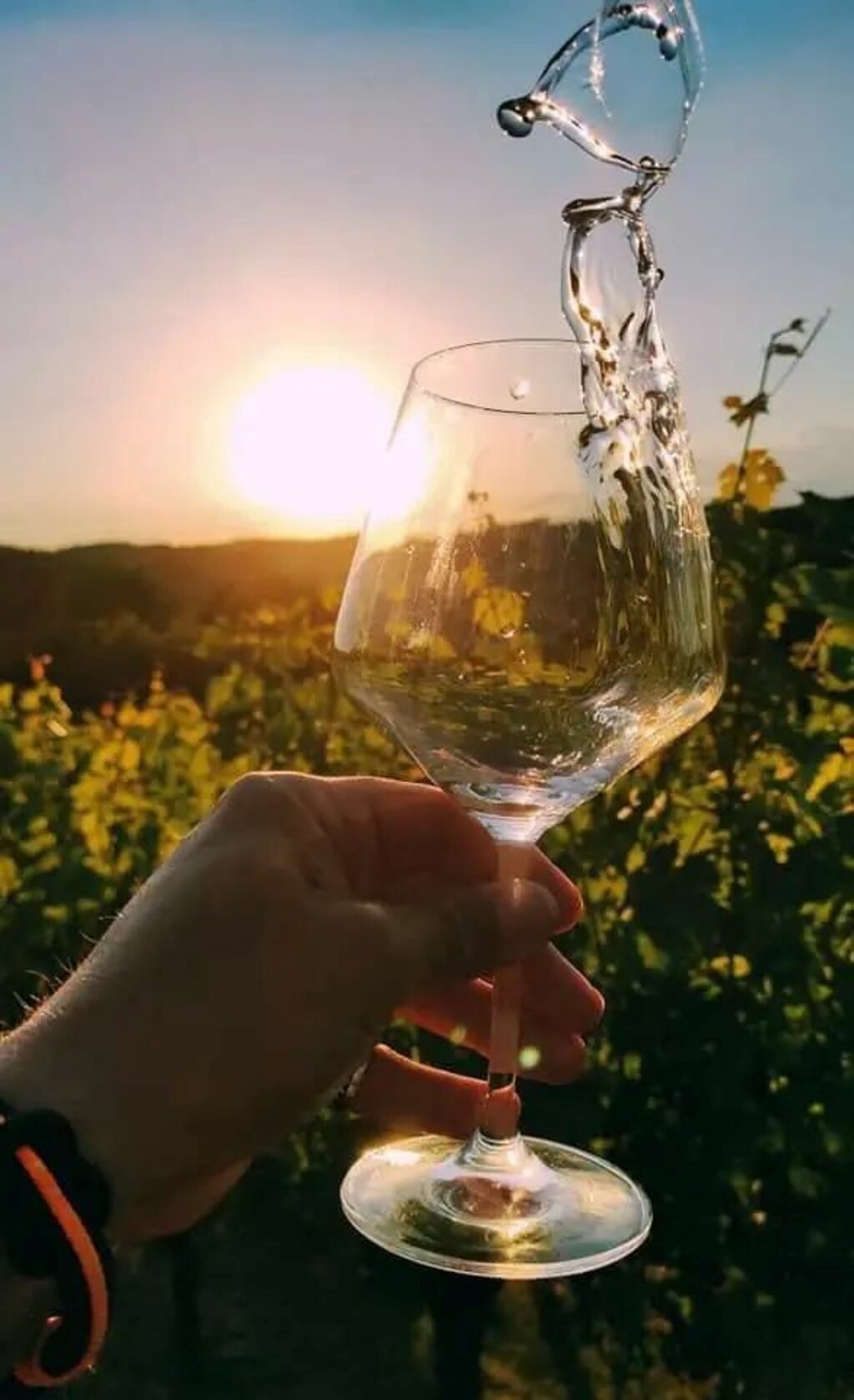 Moslavačka vinska cesta