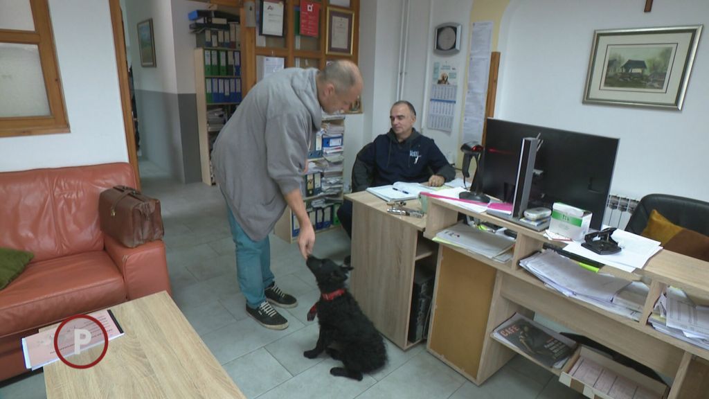 Hrvoje Mužević - 5