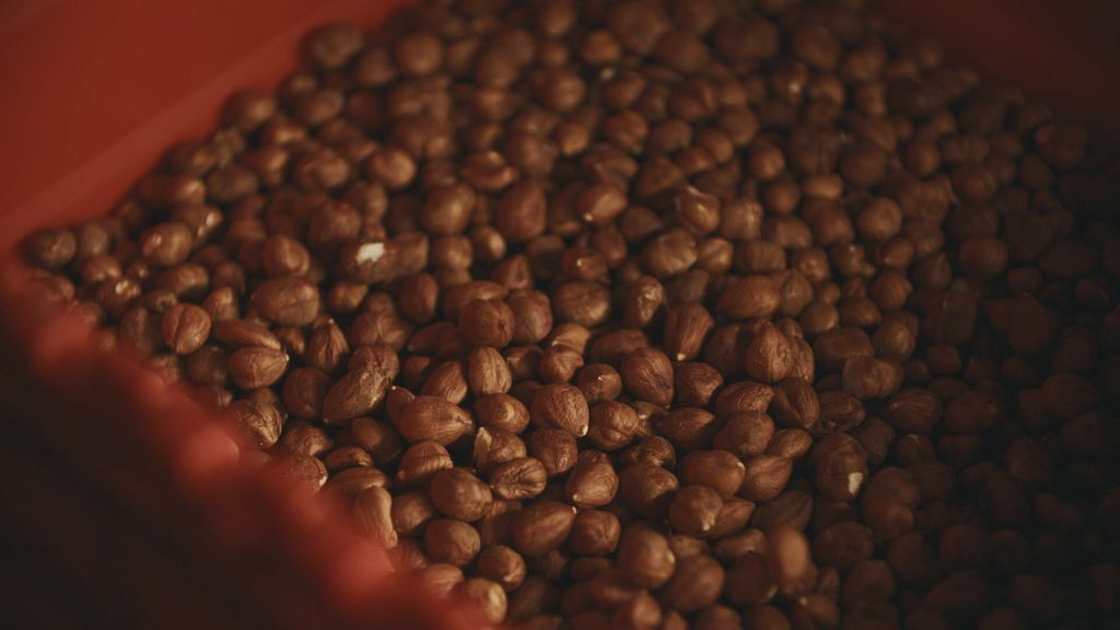 Startaj Hrvatska - 5