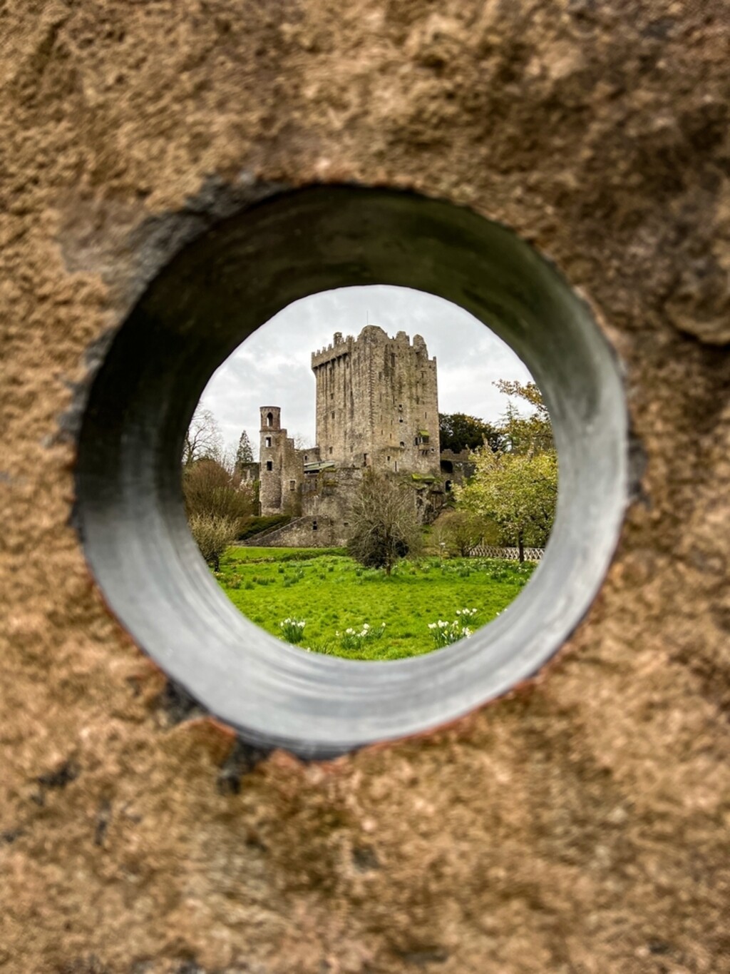 Blarney - 8