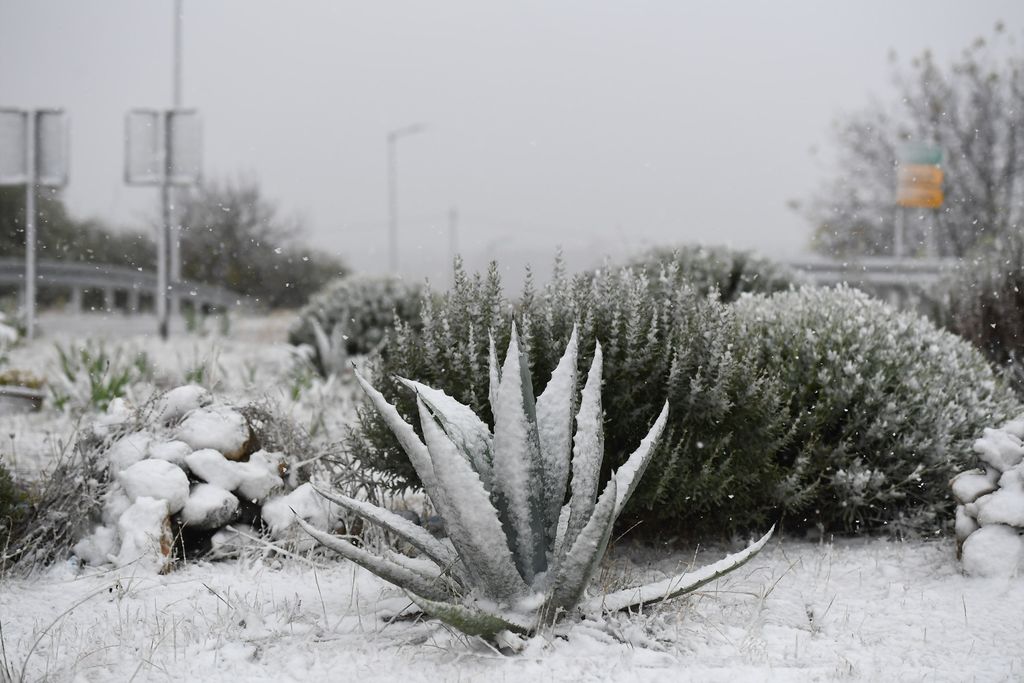Snijeg u unutrašnjosti Dalmacije