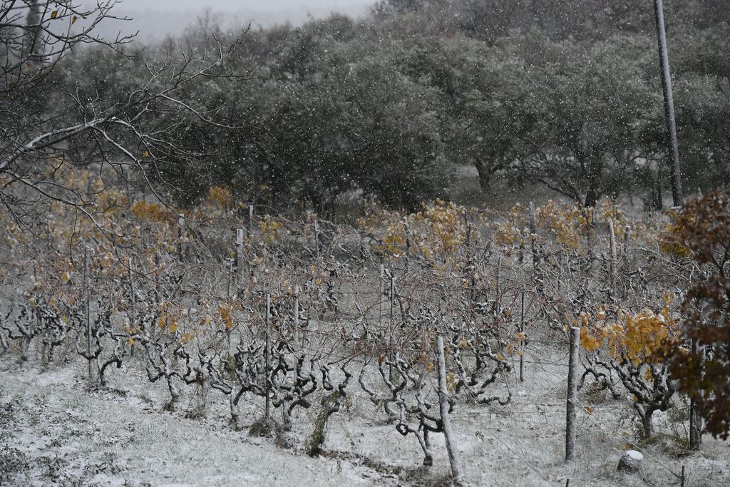 Snijeg u unutrašnjosti Dalmacije