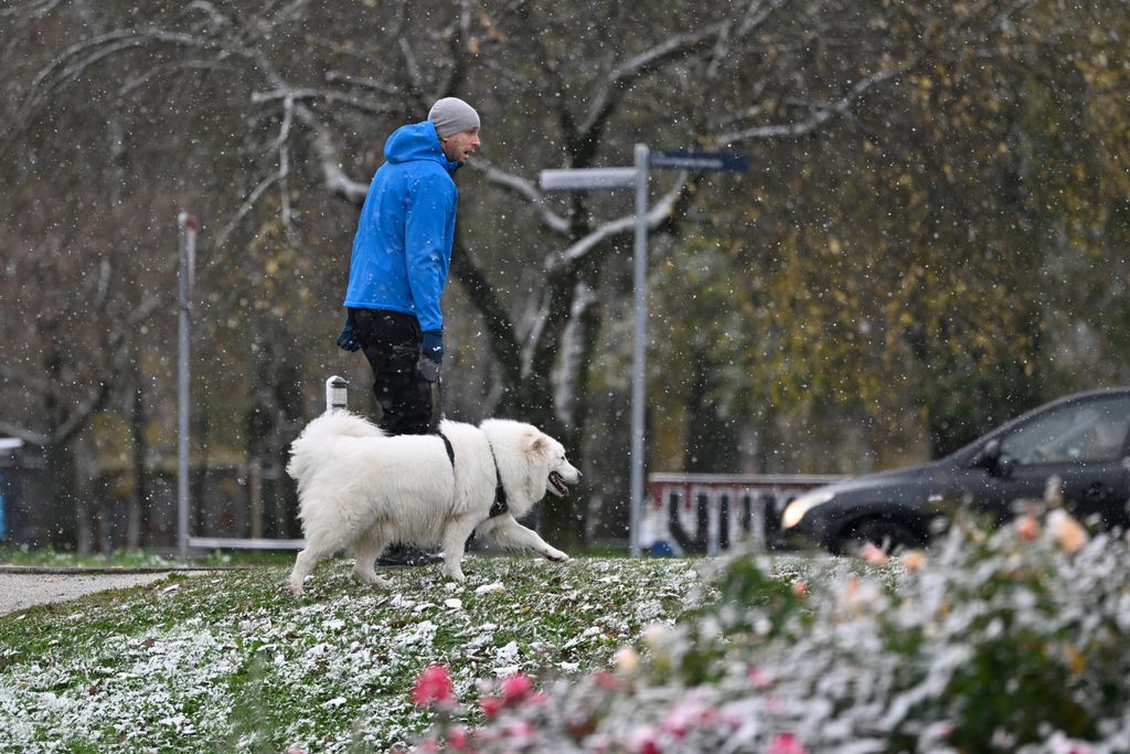 Snijeg u unutrašnjosti Dalmacije