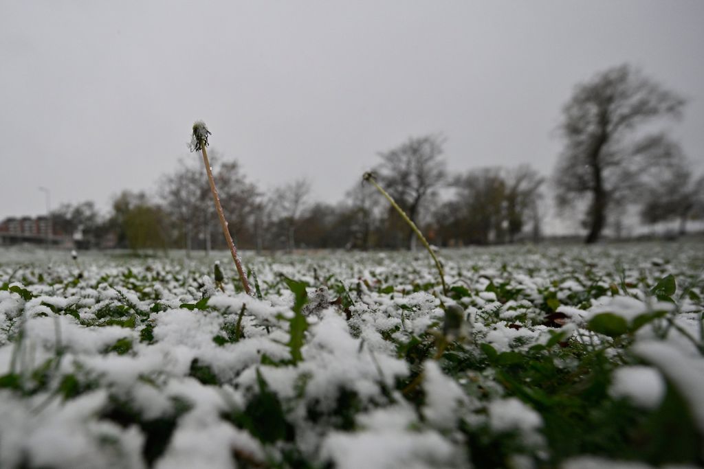 Snijeg u unutrašnjosti Dalmacije