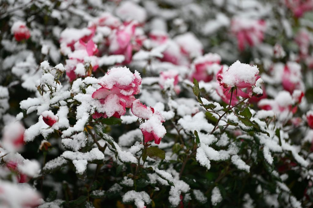 Snijeg u unutrašnjosti Dalmacije