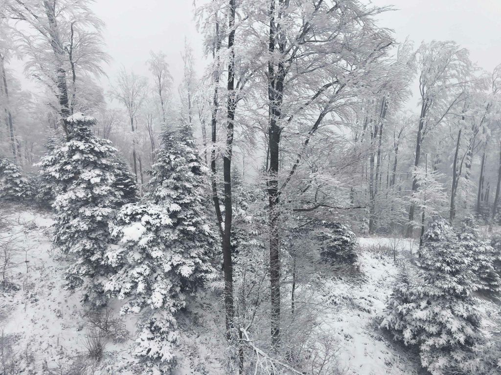 Snijeg u unutrašnjosti Dalmacije