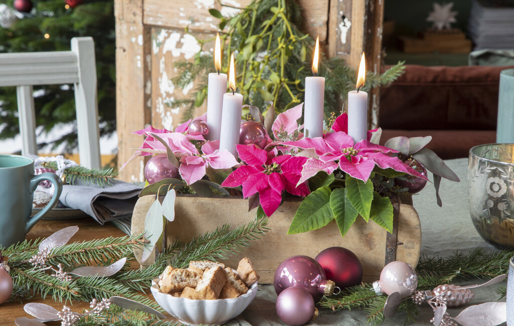 Adventski vijenac ukrašen božićnom zvijezdom