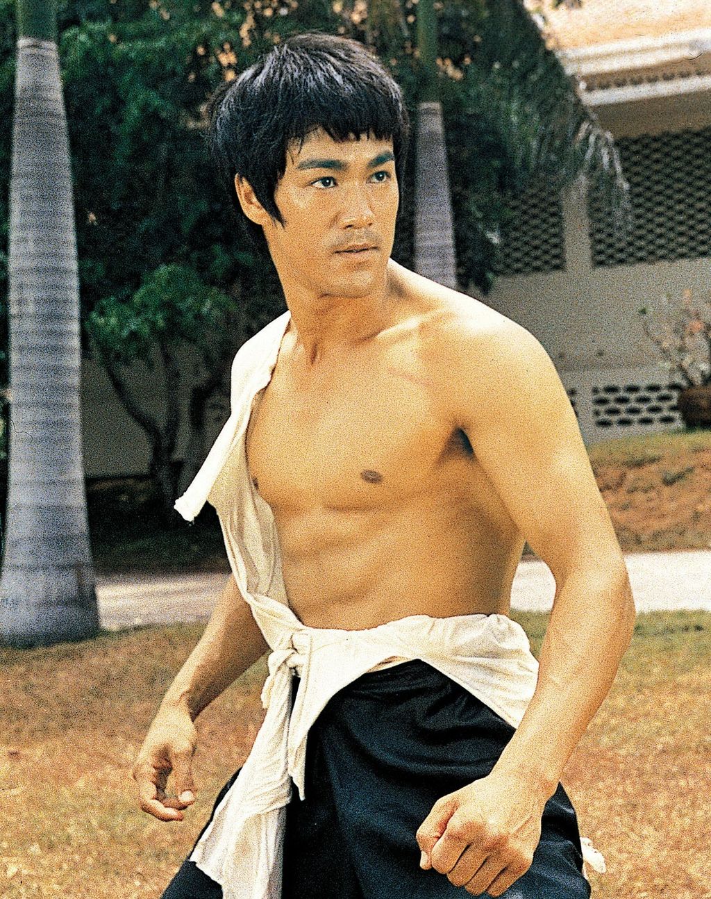 Bruce Lee - 7
