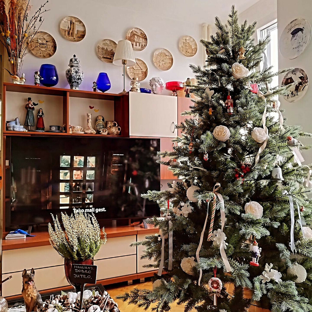 Stan Sonje Vranić iz Novog Sada izgleda poput male zemlje čuda - 3