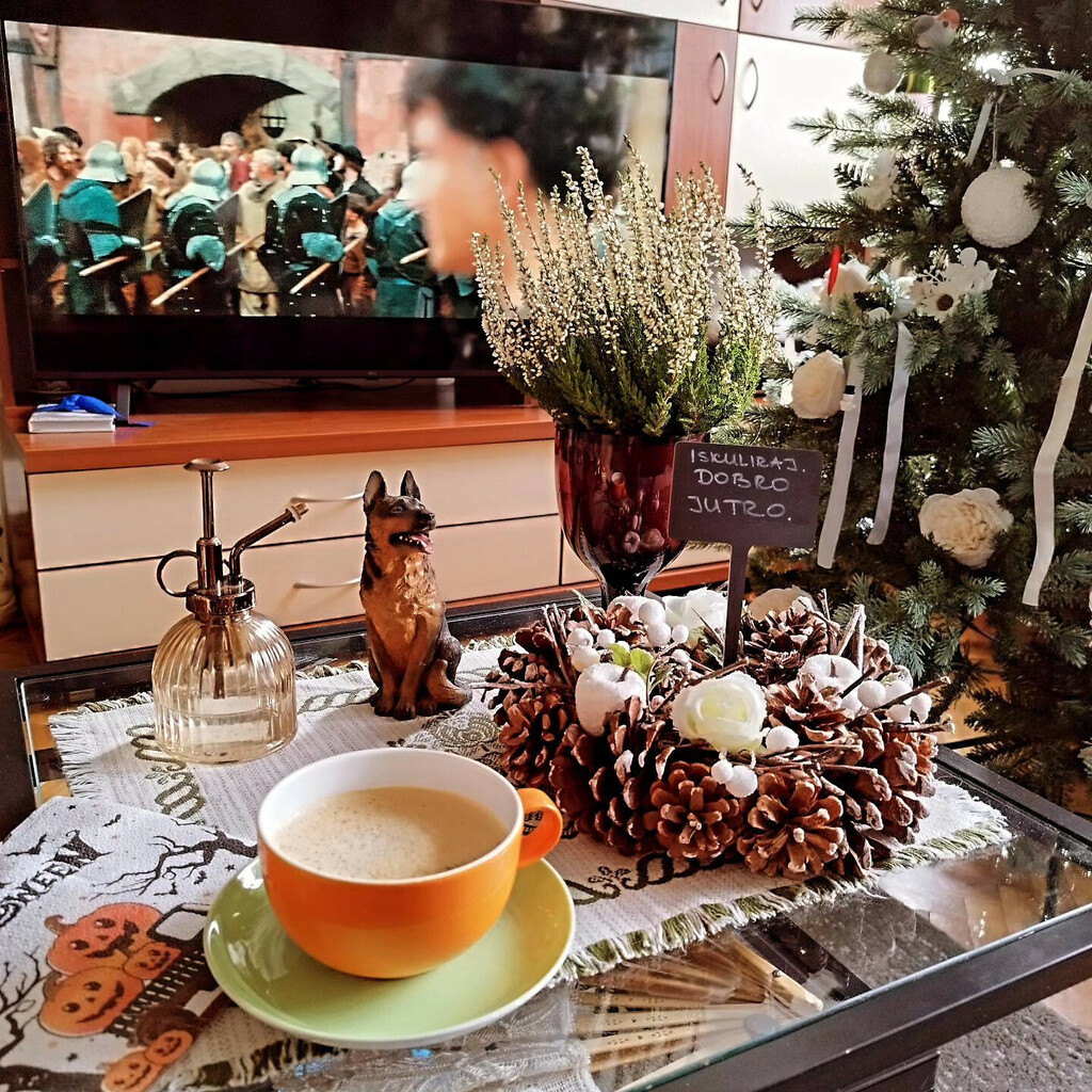 Stan Sonje Vranić iz Novog Sada izgleda poput male zemlje čuda - 5