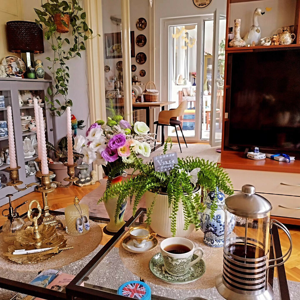 Stan Sonje Vranić iz Novog Sada izgleda poput male zemlje čuda - 8